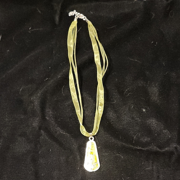 Brand Unknown Jewelry - Green and Silver Teardrop Pendant Necklace